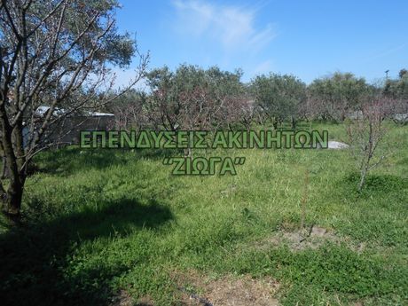 Land plot 1.686sqm for sale-Artemida » Platanidia