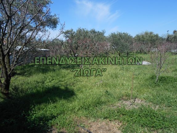 Land plot 1.686 sqm for sale, Magnesia, Artemida