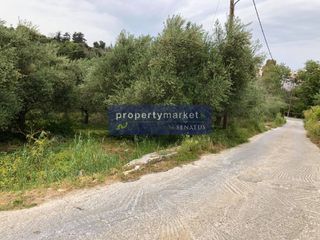 Οικόπεδο 1.660 τ.μ. πρός πώληση, Ν. Ρεθύμνου, Γεροπόταμος-thumb-1