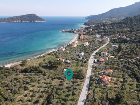 Αγροτεμάχια 1.658τ.μ. για πώληση-Θάσος » Κοίνυρα