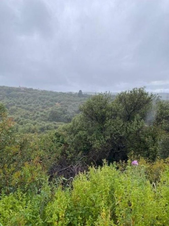 Οικόπεδο 3.881 τ.μ. προς πώληση, Κοντομάρι
