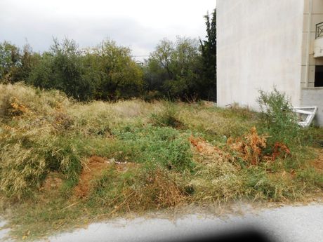 Οικόπεδο 200τ.μ. για πώληση-Βόλος » Νέες παγάσες