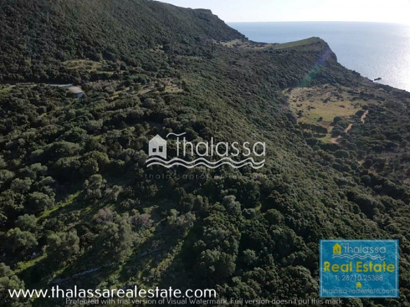 Οικόπεδο 15.000 τ.μ. πρός πώληση, Ν. Κεφαλονιάς, Κεφαλονιά
