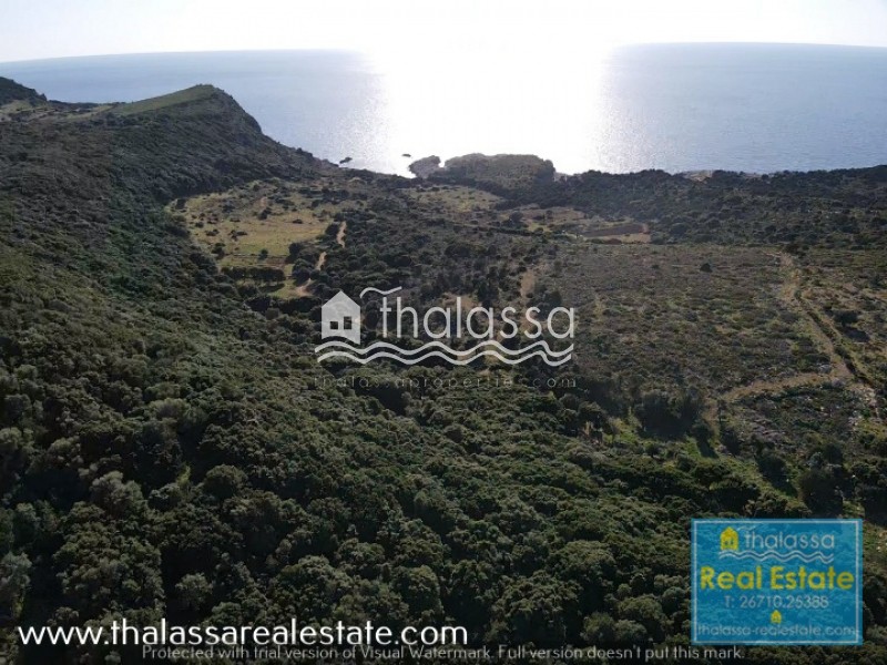 Οικόπεδο 15.000 τ.μ. πρός πώληση, Ν. Κεφαλονιάς, Κεφαλονιά