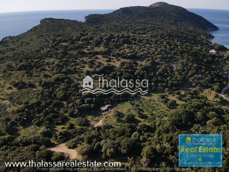 Οικόπεδο 15.000 τ.μ. πρός πώληση, Ν. Κεφαλονιάς, Κεφαλονιά