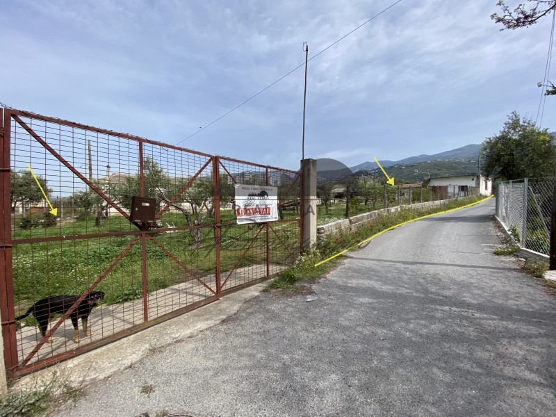 Αγροτεμάχια 2.187 τ.μ. πρός πώληση, Μαγνησία, Πορταριά