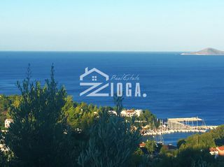 Αγροτεμάχια 8.447 τ.μ. για πώληση
