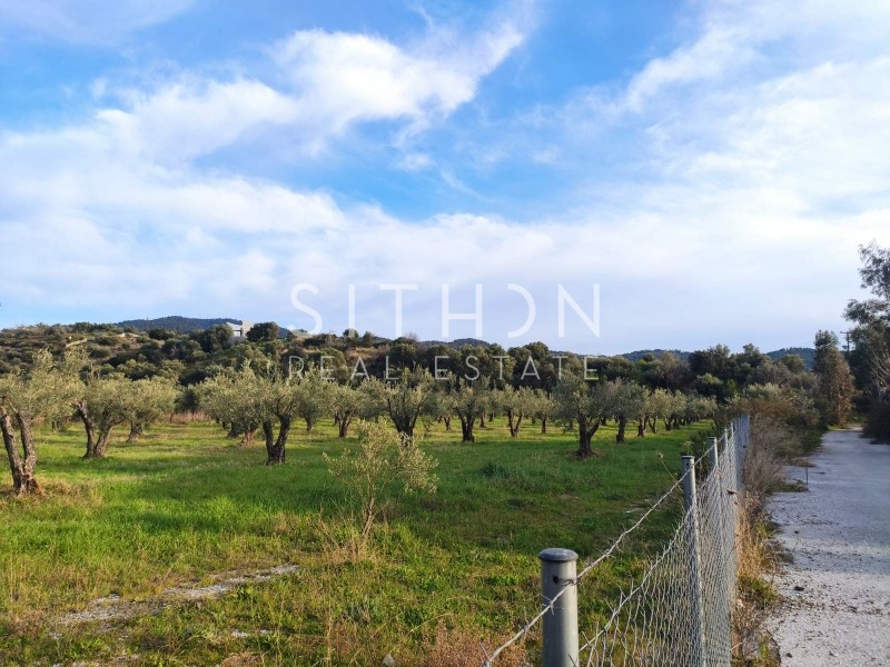 Αγροτεμάχια 5.686 τ.μ. προς πώληση, Νέος Μαρμαράς