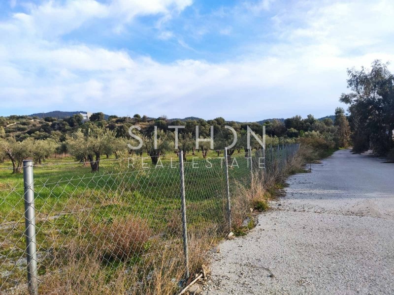 Αγροτεμάχια 5.686 τ.μ. προς πώληση, Νέος Μαρμαράς