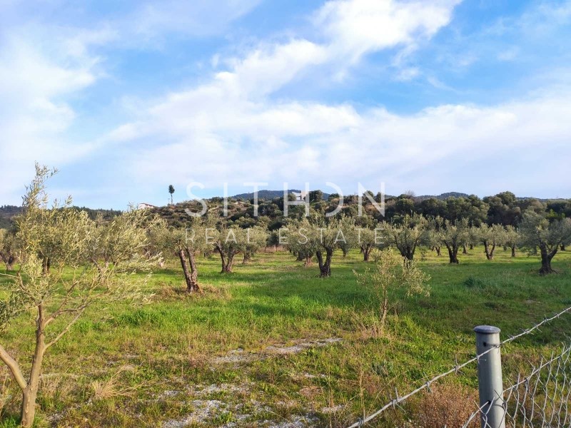 Αγροτεμάχια 5.686 τ.μ. προς πώληση, Νέος Μαρμαράς
