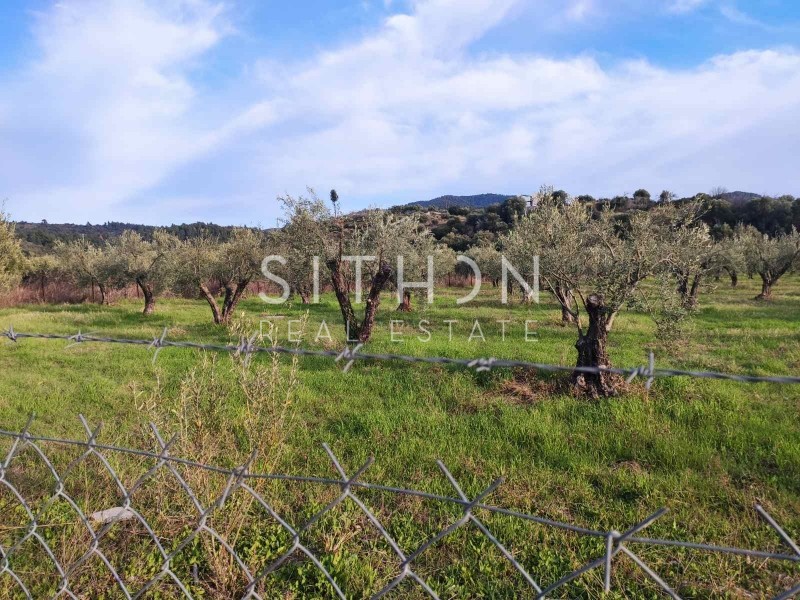 Αγροτεμάχια 5.686 τ.μ. προς πώληση, Νέος Μαρμαράς