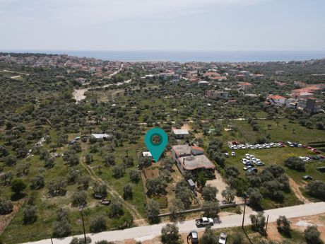 Οικόπεδο 750τ.μ. για πώληση-Θάσος » Λιμενάρια