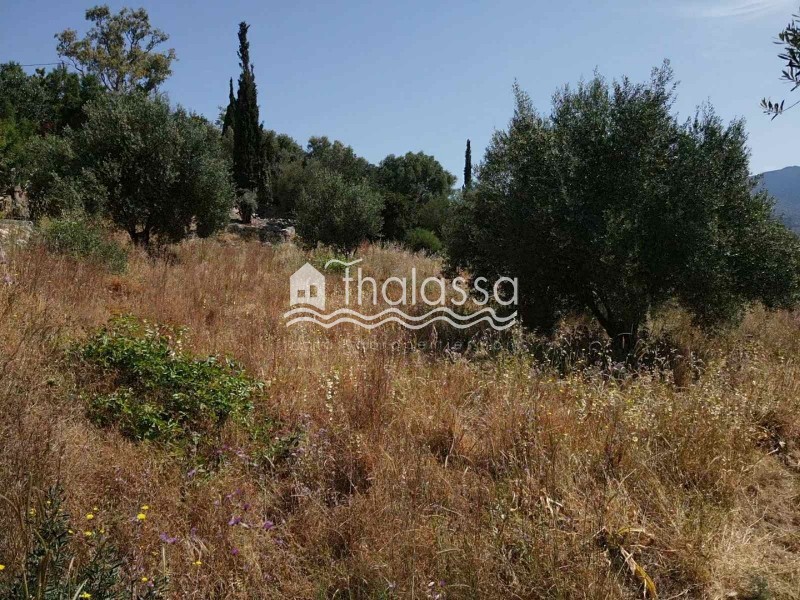 Οικόπεδο 934 τ.μ. πρός πώληση, Ν. Κεφαλονιάς, Κεφαλονιά