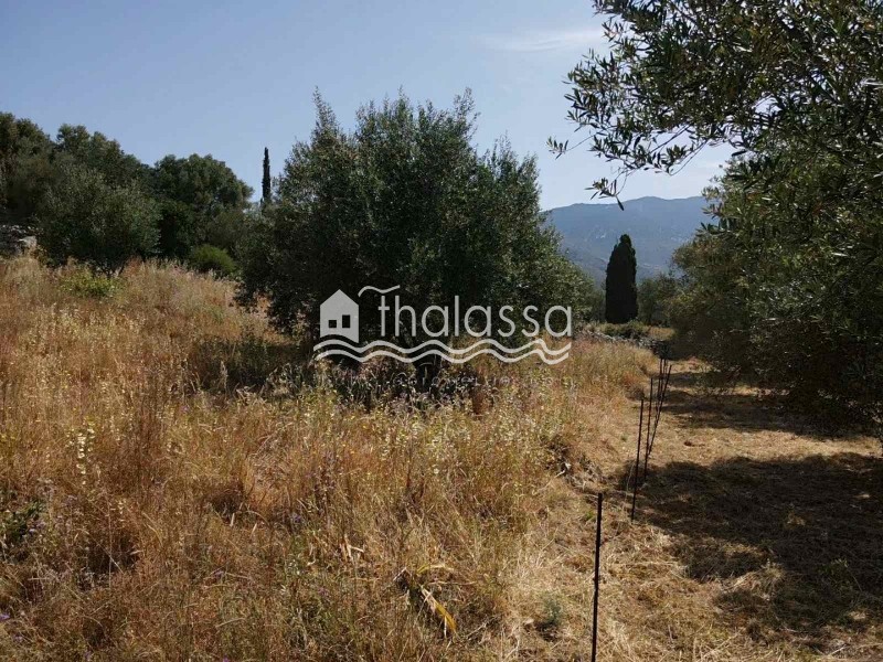 Οικόπεδο 934 τ.μ. πρός πώληση, Ν. Κεφαλονιάς, Κεφαλονιά