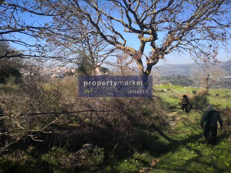 Αγροτεμάχια 7.586 τ.μ. πρός πώληση, Ν. Ρεθύμνου, Λάμπη
