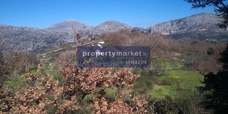 Αγροτεμάχια 7.586 τ.μ. πρός πώληση, Ν. Ρεθύμνου, Λάμπη