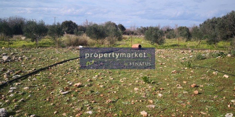 Αγροτεμάχια 7.586 τ.μ. πρός πώληση, Ν. Ρεθύμνου, Λάμπη