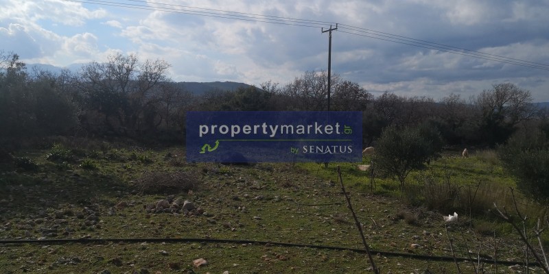Αγροτεμάχια 7.586 τ.μ. πρός πώληση, Ν. Ρεθύμνου, Λάμπη