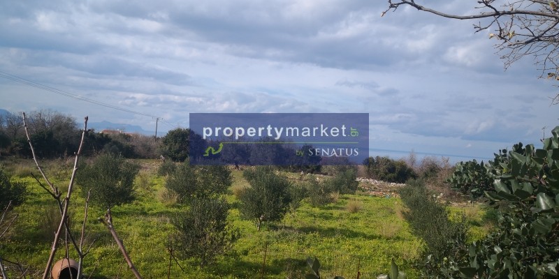 Αγροτεμάχια 7.586 τ.μ. πρός πώληση, Ν. Ρεθύμνου, Λάμπη