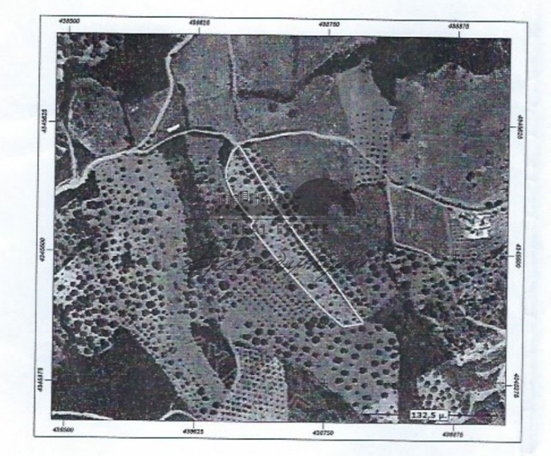 Αγροτεμάχια 4.573 τ.μ. προς πώληση, Ξινόβρυση