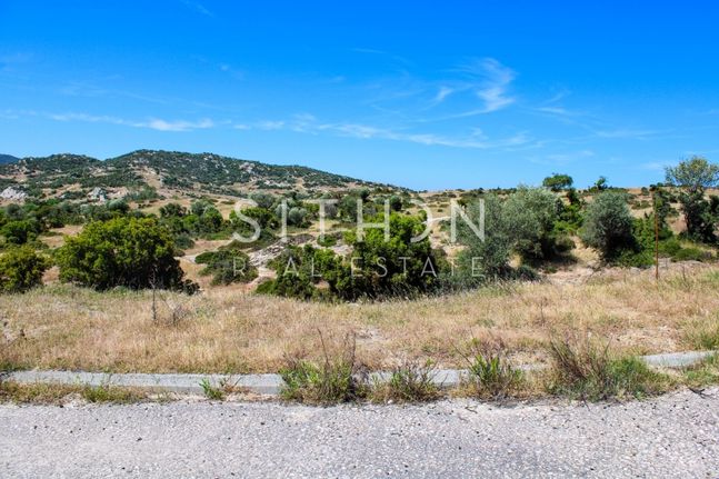 Land plot 500 sqm for sale, Chalkidiki, Toroni