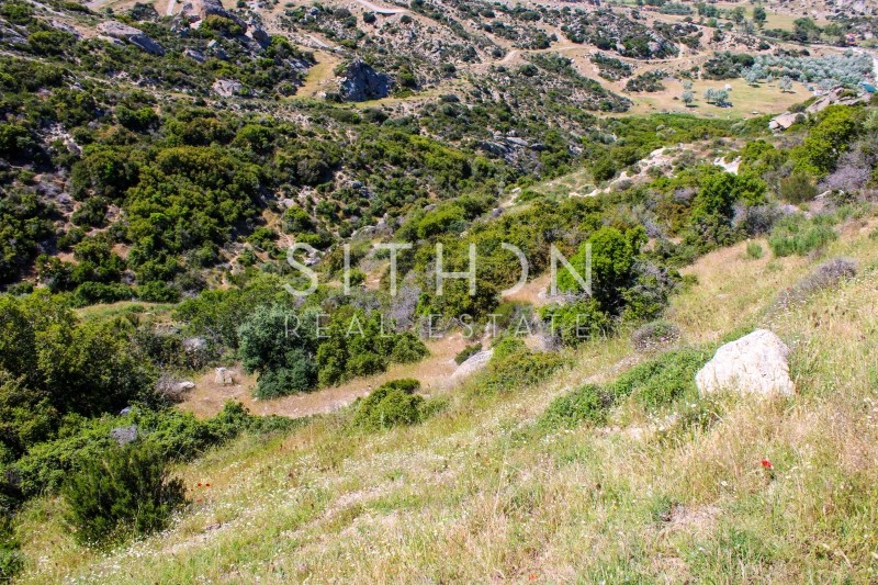 Οικόπεδο 500 τ.μ. προς πώληση, Σκάλα Συκέας