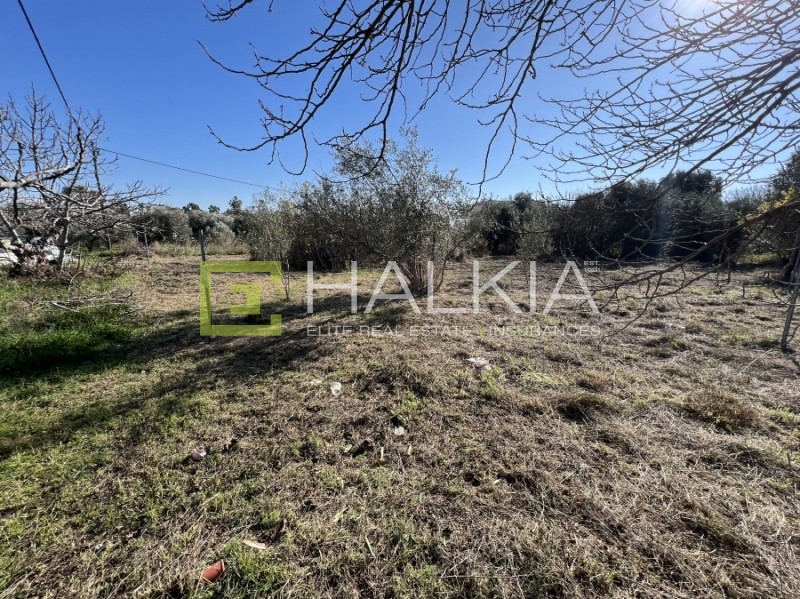 Οικόπεδο 225 τ.μ. πρός πώληση, Μαγνησία, Βόλος