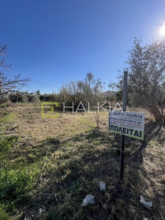 Οικόπεδο 225 τ.μ. πρός πώληση, Μαγνησία, Βόλος