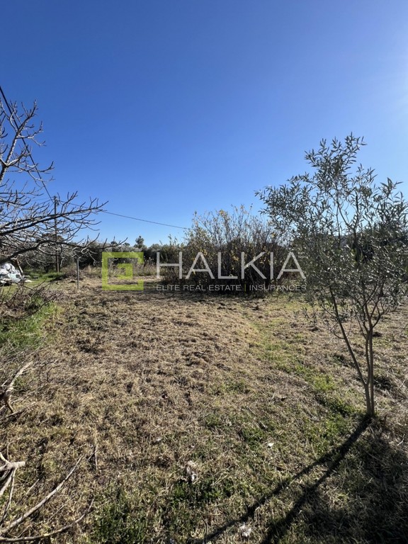 Οικόπεδο 225 τ.μ. πρός πώληση, Μαγνησία, Βόλος