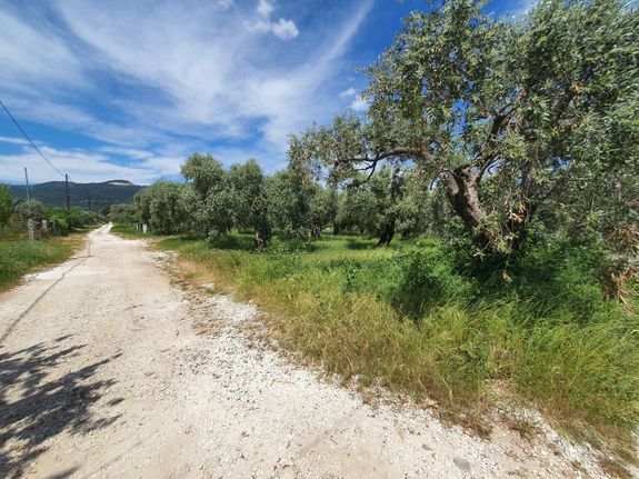 Αγροτεμάχια 782 τ.μ. για πώληση, Ν. Καβάλας, Θάσος