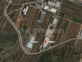 Αγροτεμάχια 16.300 τ.μ. για πώληση