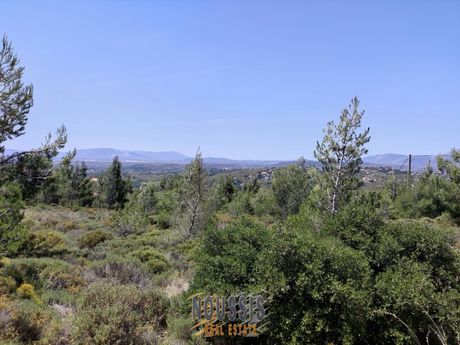 Land plot 1.003sqm for sale-Pikermi » Dioni