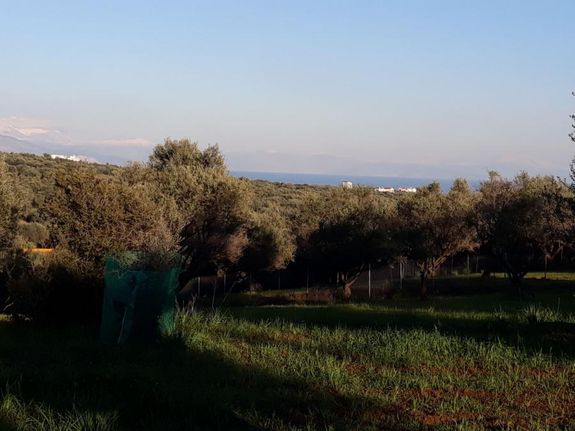 Land plot 5.005 sqm for sale, Achaia, Aigio
