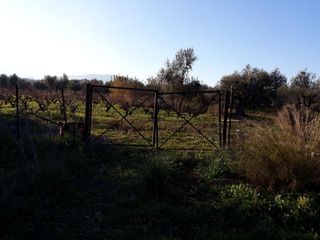 Οικόπεδο 5.005 τ.μ. προς πώληση, Κέντρο Αιγίου-thumb-1