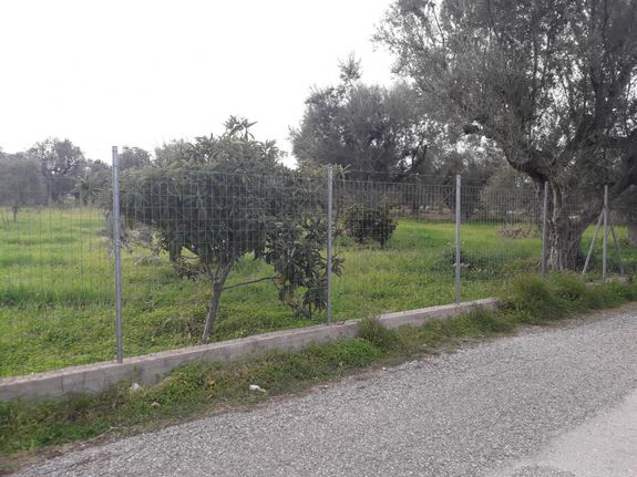 Land plot 4.000 sqm for sale, Achaia, Egialia