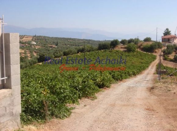 Land plot 1.330 sqm for sale, Achaia, Aigio