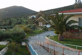 Ξενοδοχείο 3.500 τ.μ. για πώληση, Εύβοια, Στύρα-thumb-8