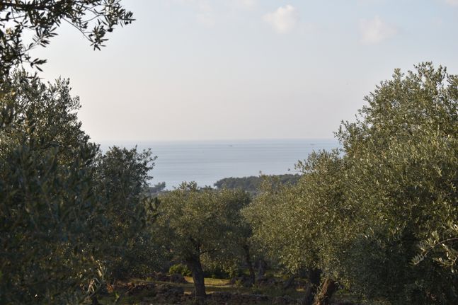 Parcel 4.215 sqm for sale, Kavala Prefecture, Thasos