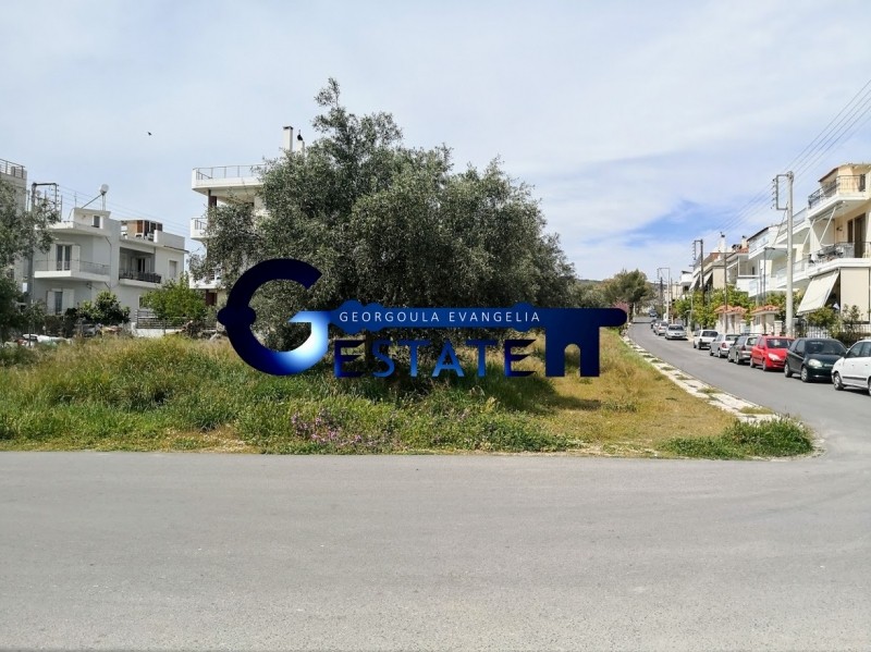 Οικόπεδο 1.755 τ.μ. προς πώληση, Τσόπα - Σουλιώτη
