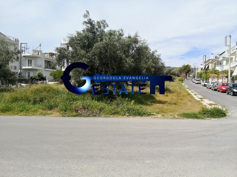 Οικόπεδο 1.755 τ.μ. προς πώληση, Τσόπα - Σουλιώτη