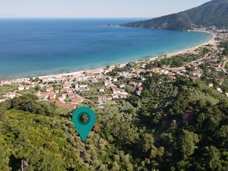 Αγροτεμάχια 5.853 τ.μ. για πώληση, Ν. Καβάλας, Θάσος-thumb-1