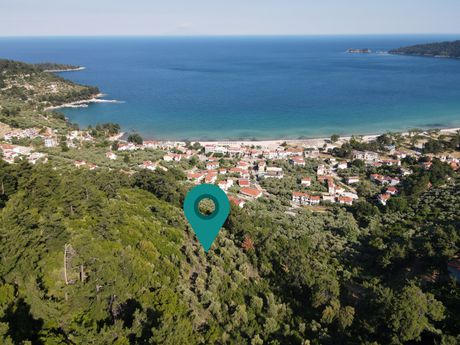 Αγροτεμάχια 5.853τ.μ. για πώληση-Θάσος » Χρυσή αμμουδιά