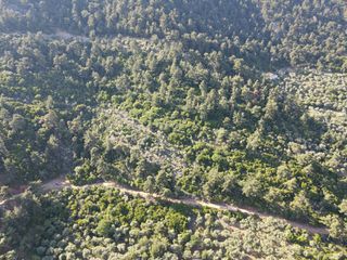 Αγροτεμάχια 5.853 τ.μ. για πώληση, Ν. Καβάλας, Θάσος-thumb-2
