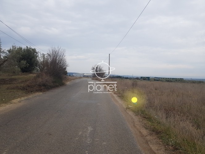 Αγροτεμάχια 8.500 τ.μ. προς πώληση, Λάκκωμα Καλλικράτειας