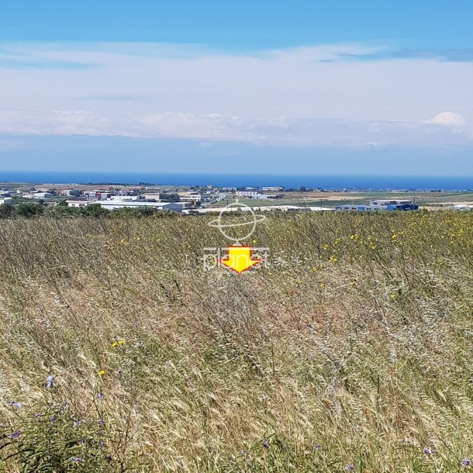 Αγροτεμάχια 8.500 τ.μ. προς πώληση, Λάκκωμα Καλλικράτειας