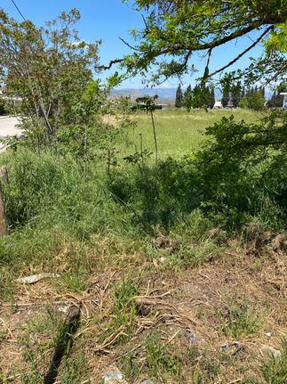 Land plot 630 sqm for sale, Boeotia, Vagies