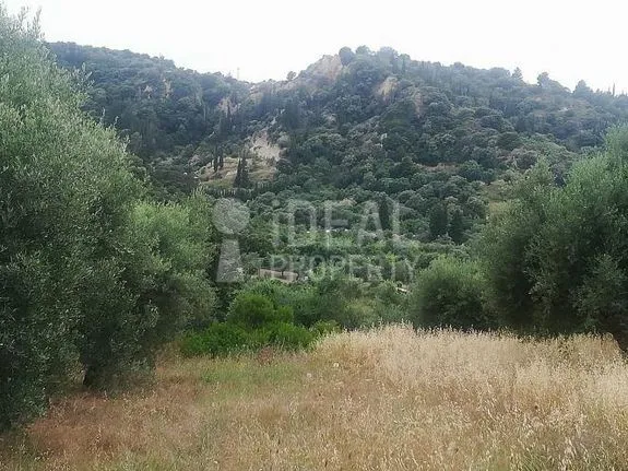 Parcel 2.586 sqm for sale, Achaia, Vrachneika