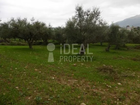 Parcel 4.700 sqm for sale, Achaia, Fares