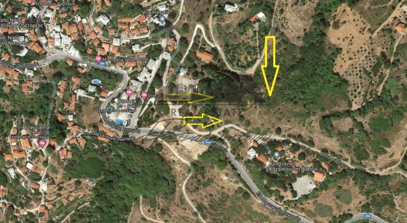 Οικόπεδο 13.600 τ.μ. πρός πώληση, Μαγνησία, Πορταριά