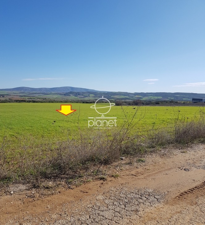 Αγροτεμάχια 34.690 τ.μ. προς πώληση, Λάκκωμα Καλλικράτειας
